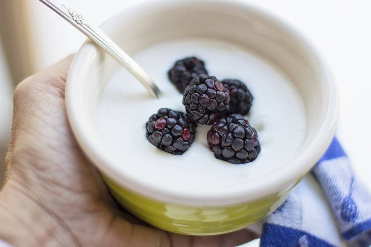 yoghurt en artrose